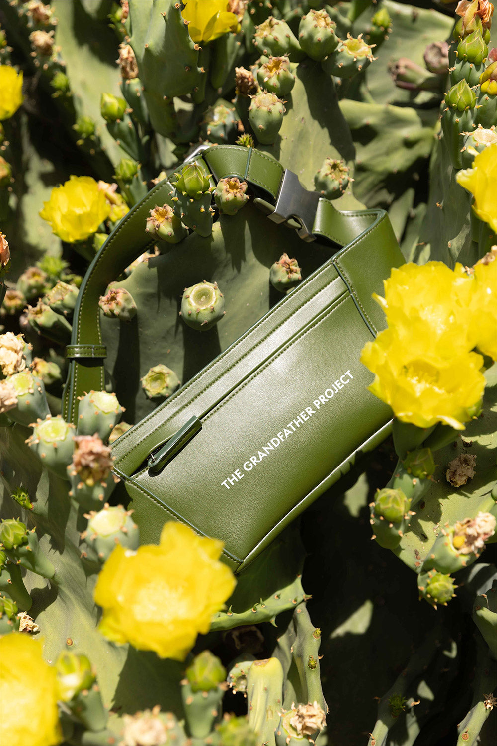 The Beltbag | THE GRANDFATHER PROJECT – The Grandfather Project